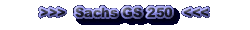 Zu den Sachs GS 250 Seiten