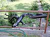 Sachs GS 250