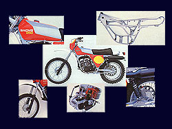 Sachs GS 250
