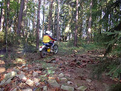 Sachs GS 50 - Perego Replica