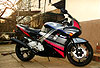 Honda CBR 600 F