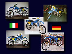 Sachs GS 50 - Perego Replica