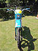 Sachs GS 250